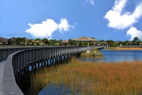 Gulf Shores Realty: 2012485942