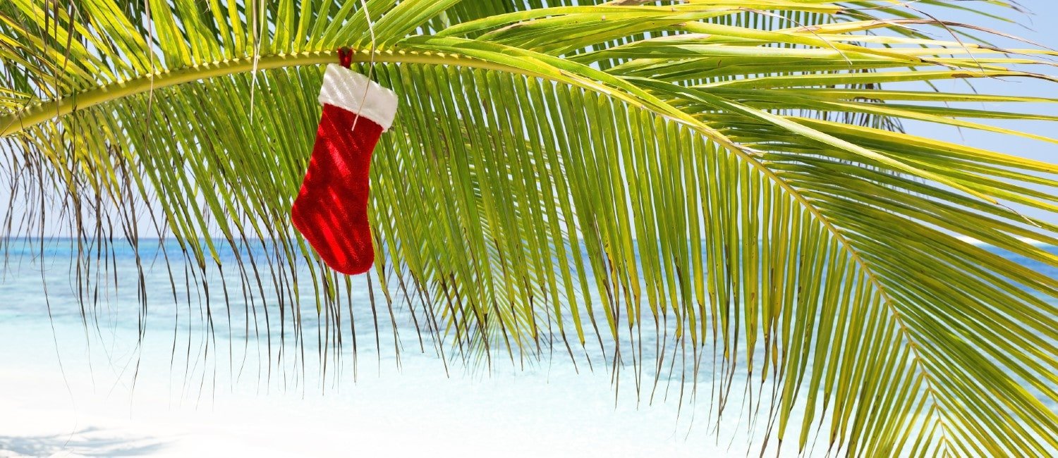 christmas in florida - holiday stocking on palm tree branch