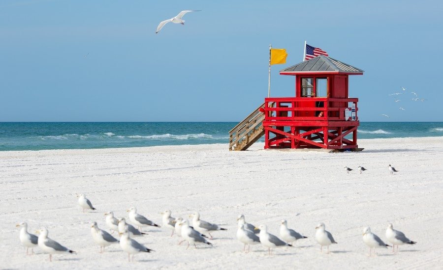 siesta beach named #1 beach in the USA by TripAdvisor.com